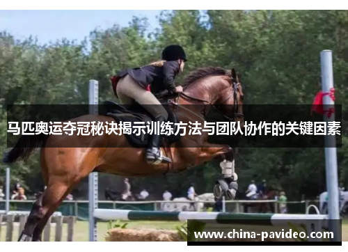 马匹奥运夺冠秘诀揭示训练方法与团队协作的关键因素